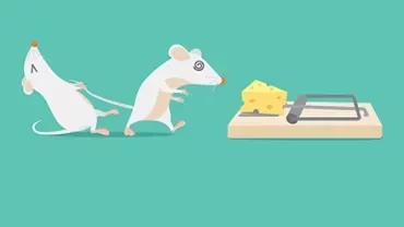 5 most common onboarding pitfalls and how to avoid them