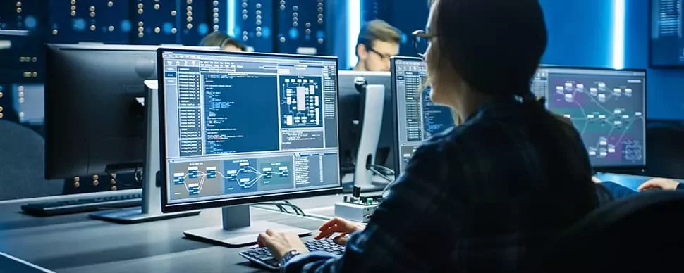 IT Program Manager