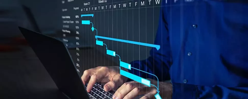 IT Project Manager