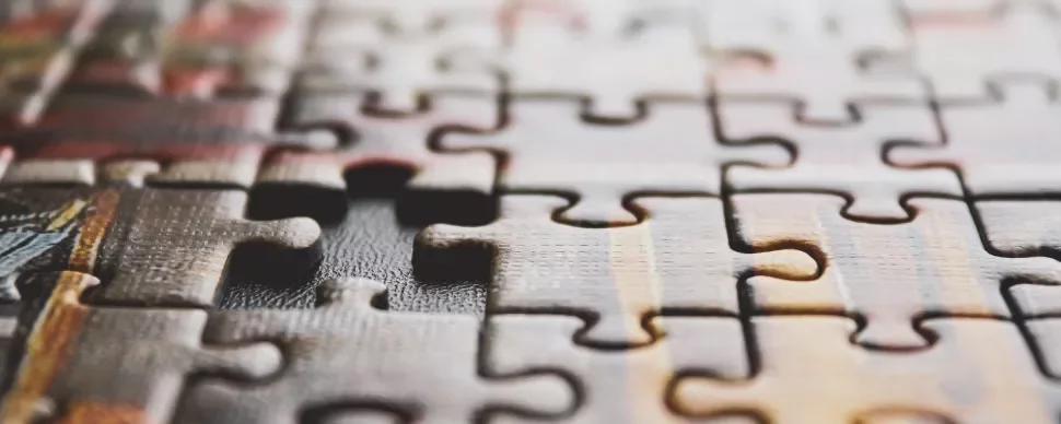 5 steps to be the perfect fit for your dream job