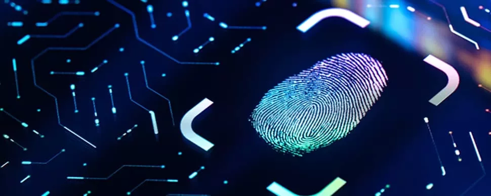 Cybersecurity Engineer